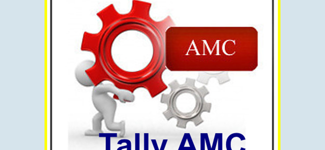How Do Businesses Help Tally AMC / Annual Support Cover?